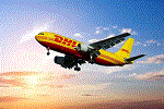 L(zhng)(gu)HfI(yng): (gu)Hf:dhl ups fedex tnt (gu)H\(yn) \(yn)